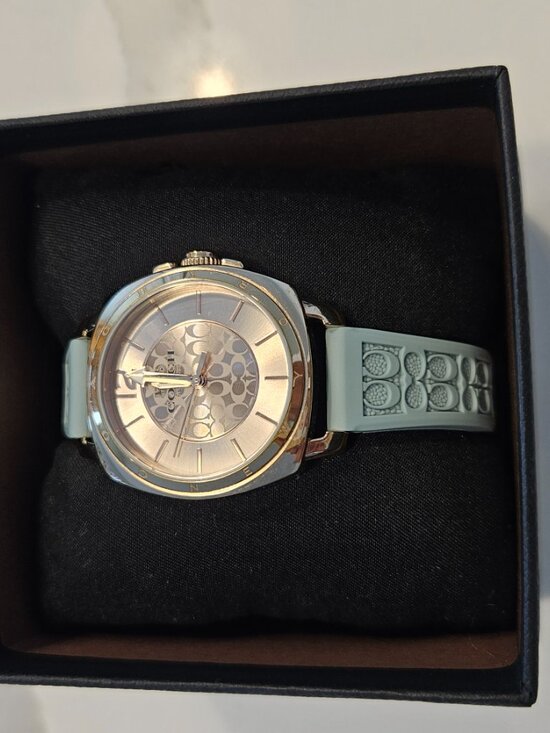 Ladies Boyfriend Coach Watch ⌚️ main image 6